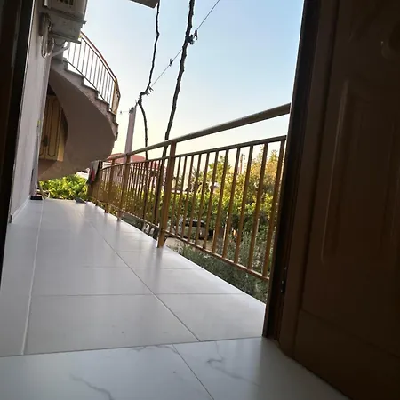 Solea * Vlorë